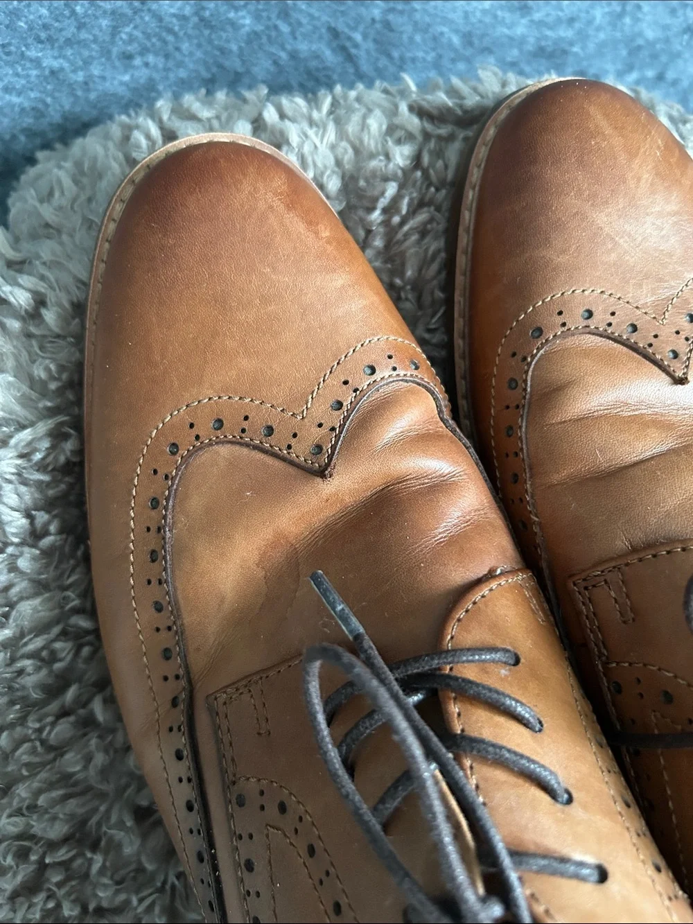 Aldo Tan Leather Wingtip Oxfords